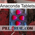 Anaconda Tablets 13